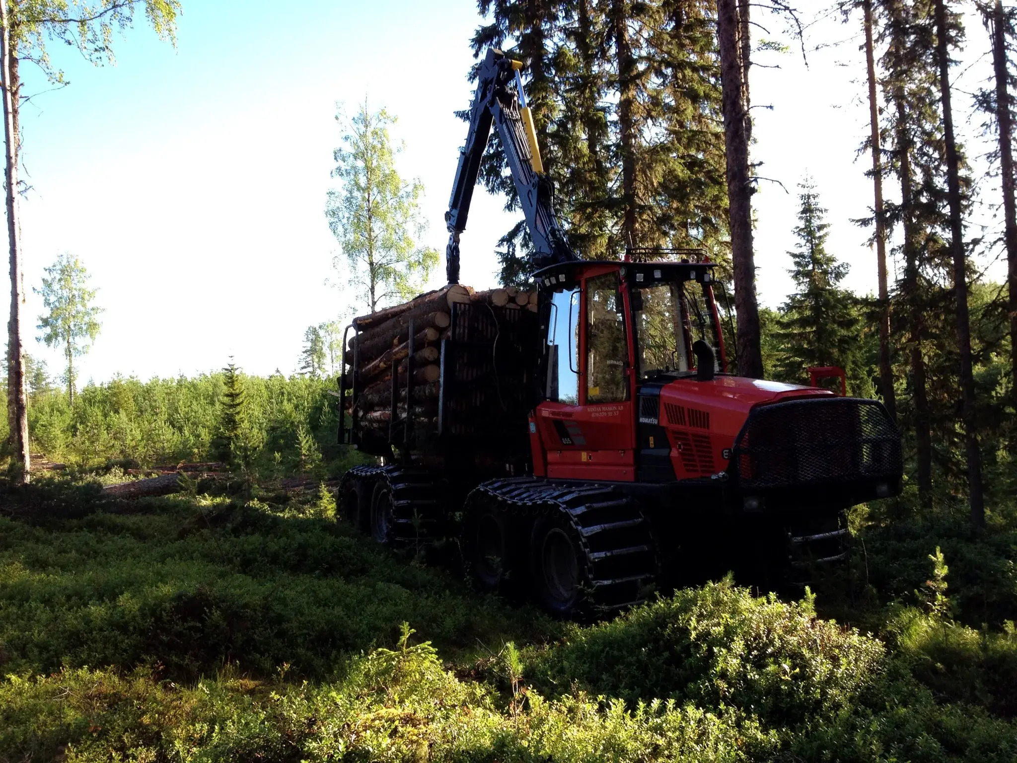 Skotare lastad med timmer i sommargrön skog.