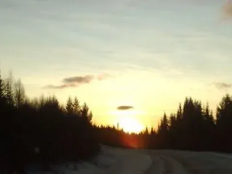 Solnedgång över en vinterväg genom skogen.
